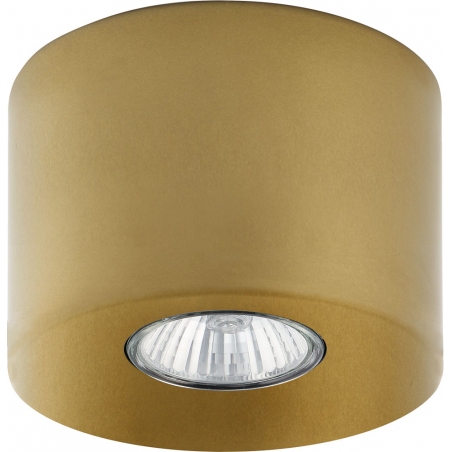 Punktowa Lampa spot sufitowa tuba Orion 8 złota TK Lighting do kuchni i przedpokoju.