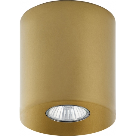Orion 12 gold tube spot ceiling lamp TK Lighting