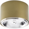 Moris 11 gold round spot ceiling lamp TK Lighting