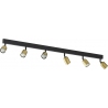 Top VI black&amp;gold ceiling spotlight TK Lighting