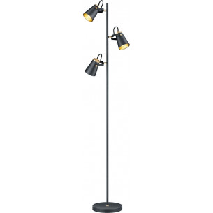 Edward black floor lamp with 3 lights Trio