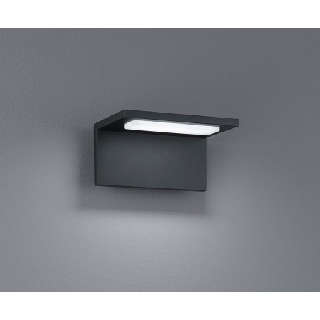Trave LED anthracite garden wall light Trio