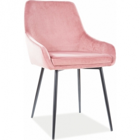 Stylowe Krzesło welurowe Albi Velvet różowe Signal do salonu i jadalni