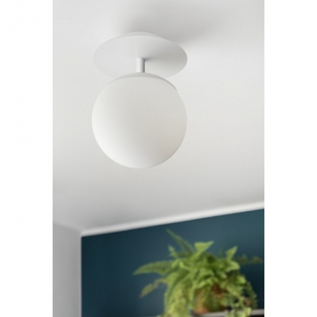 Plaat C white glass ball ceiling lamp Ummo