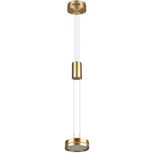 Franklin 14 LED brass pendant lamp Trio