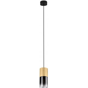 Robin 10 brass&amp;smoked glass tube pendant lamp Trio