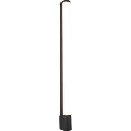 Piera LED 79 black bathroom wall lamp with switch Trio