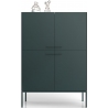 Intre 100 green cabinet with shelfs Midsty
