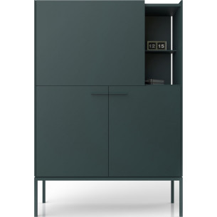 Barr 100 green cabinet with shelfs Midsty