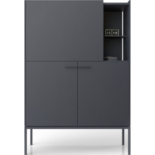 Barr 100 graphite cabinet with shelfs Midsty