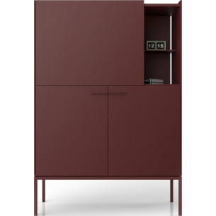 Barr 100 maroon cabinet with shelfs Midsty