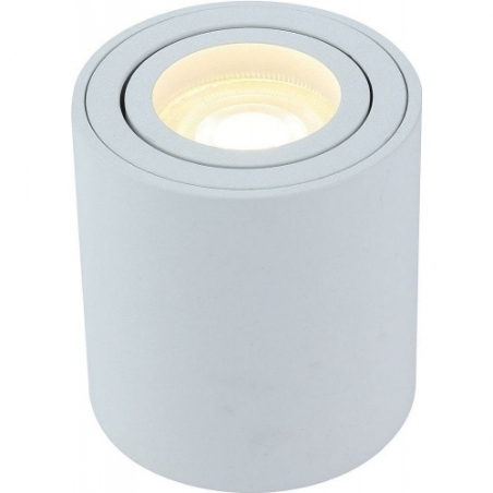 Mini 8 white tube spot lamp Auhilon