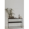 Stam 118 walnut console table with shelf Nordifra