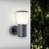 Cliffi anthracite outdoor wall lamp Brilliant