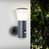 Cliffi anthracite outdoor wall lamp with motion sensor Brilliant
