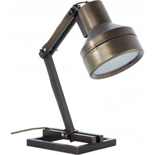 Hardwork black steel industrial desk lamp Brilliant