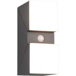 Avon II LED anthracite modern outdoor wall lamp with motion sensor Trio