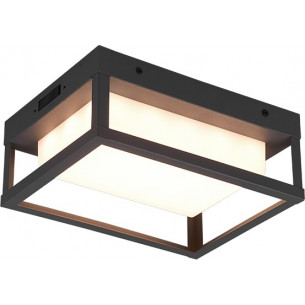 Kinkiet/plafon elewacyjny Witham LED 28x18cm antracyt Trio