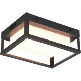 Witham LED 28x18cm anthracite outdoor wall&amp;ceiling lamp Trio