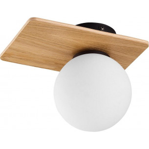 Bianca wood white&amp;wood glass ceiling lamp tk lamping