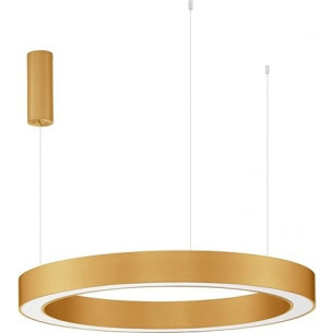 Cole LED 80cm brass round pendant lamp with remote control