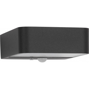 Fibo LED anthracite outdoor wall lamp with motion sensor